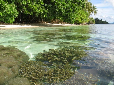 W Salomona - 1000 wysp 1