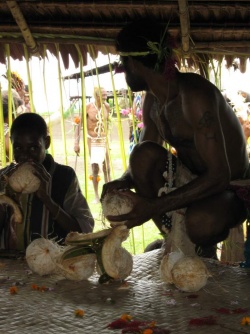 Papua - kokosy 2