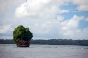 W Salomona - 1000 wysp