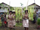 Papua - powitanie w Mafuia