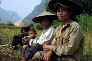 Laos - ryzokosy 7